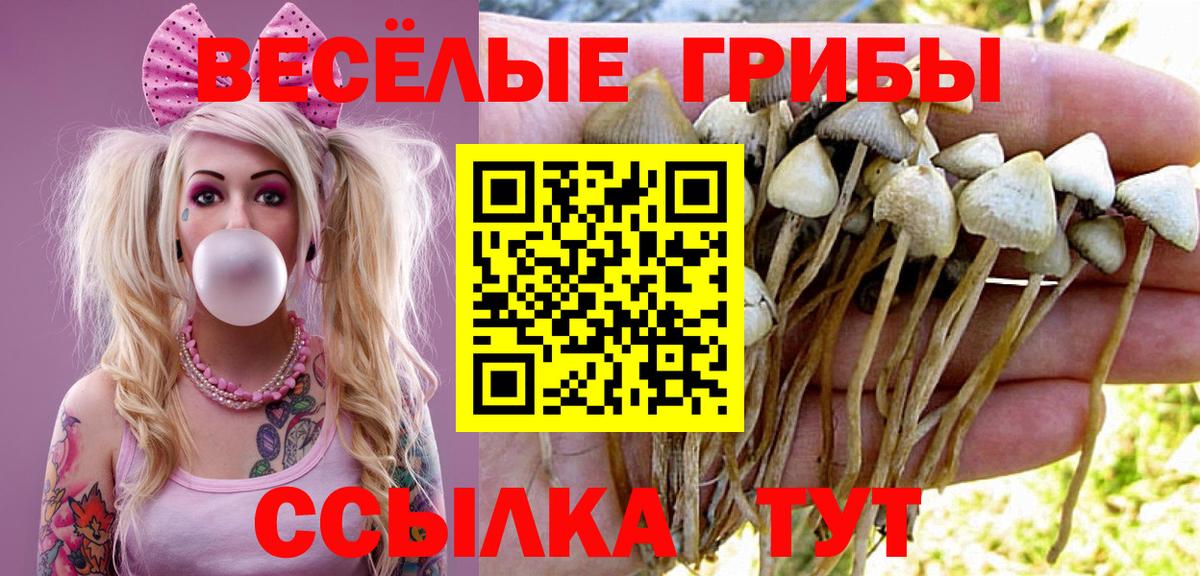 Псилоцибиновые грибы прущие грибы Белорецк
