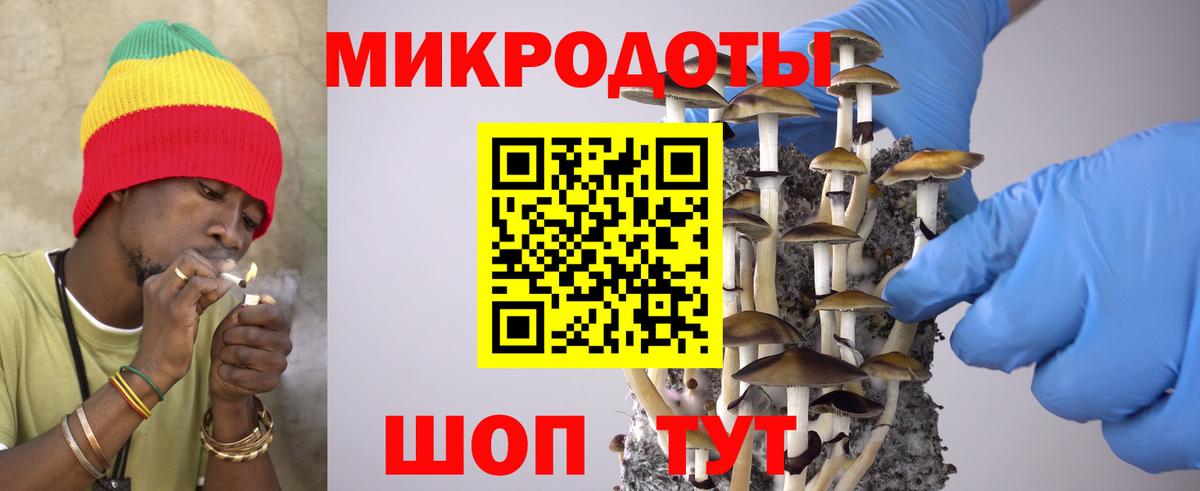 что такое   Псилоцибиновые грибы MAGIC MUSHROOMS  Вход с VPN  Галлюциногенные грибы мухоморы  Белорецк 
